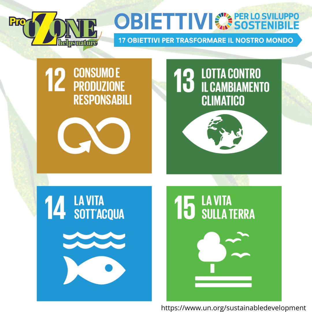adesione da parte di ProOzone per lo sviluppo sostenibile promosso da ONU